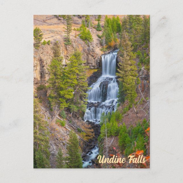 Carte Postale Undine Falls Lava Creek Parc national Yellowstone (Devant)