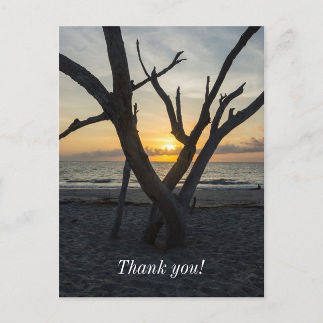 Carte Postale Une aube folle (Devant)