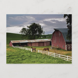 Carte Postale Une balade à travers la campagne agricole de Palou
