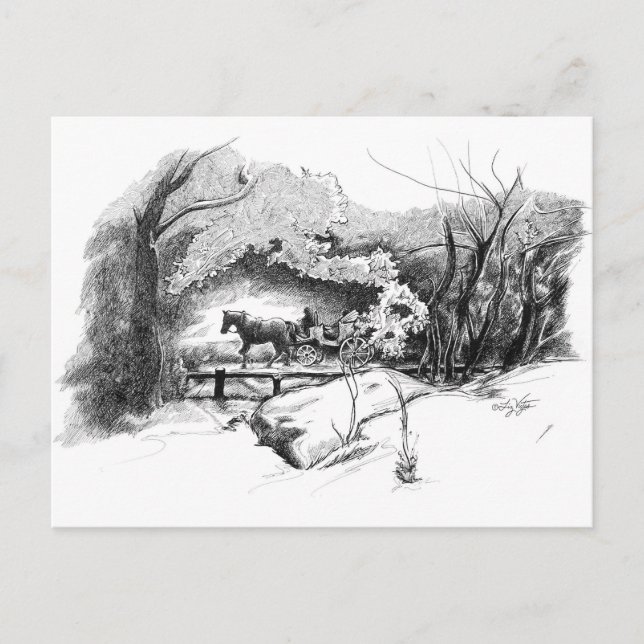 Carte postale : Une balade dans Central Park (Devant)