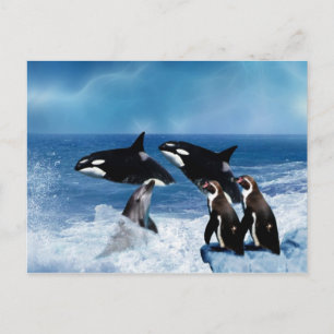 Carte Postale Une baleine d'un monde