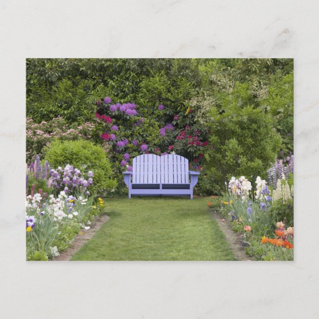 Carte Postale Une banquette bleue vous accueille dans un ressort (Devant)