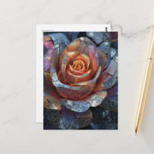 Carte Postale Une belle fleur de rose