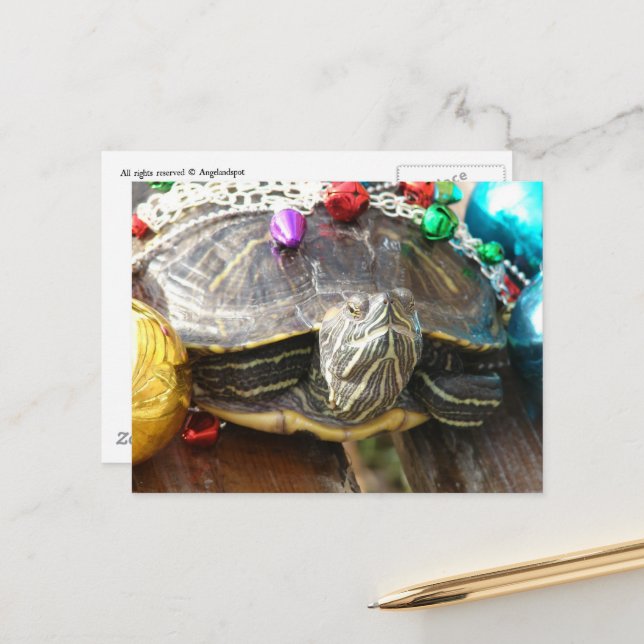 Carte Postale Une belle tortue de Noël (Devant/Arrière en situation)
