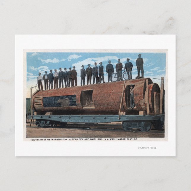 Carte Postale Une cage d'ours et l'habitation dans un immense jo (Devant)