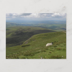 Carte Postale Une collection d'une journée dans les Yorkshire Da