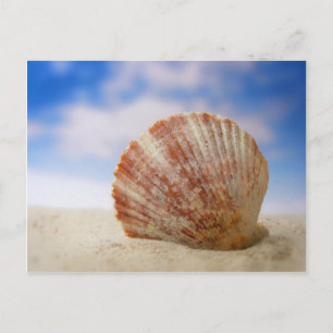 Carte Postale Une Coquille Propulsée Dans Le Sable