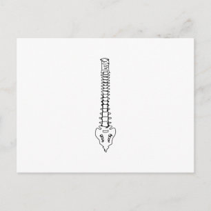 CARTE POSTALE UNE ÉPINE DE COULEURS