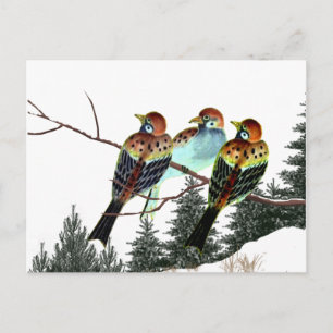 Carte Postale Une étoile est née