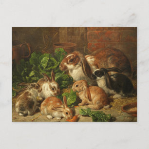 Carte Postale Une famille de lapins par Alfred Richardson Barber