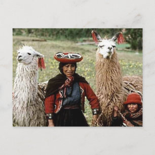 Carte Postale Une femme quechua avec deux lamas