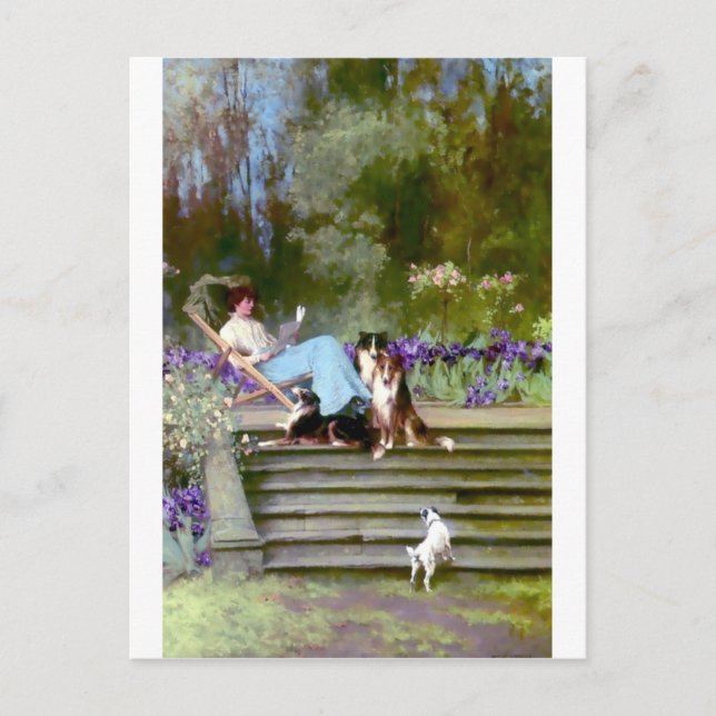 Carte Postale Une femme qui lit avec des chiens de collie (Devant)
