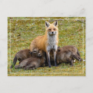 Carte Postale Une fête de maman