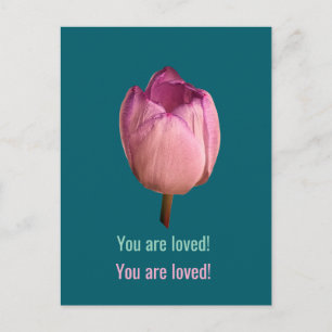 Carte Postale Une fleur de tulipe