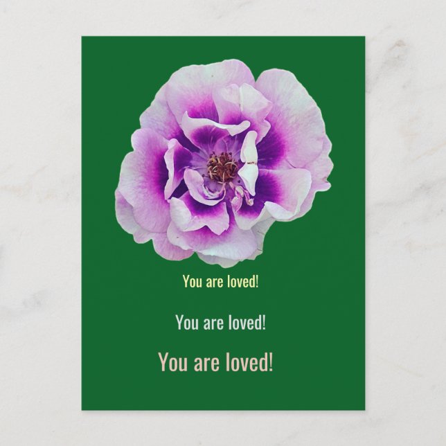 Carte Postale Une fleur de tulipe (Devant)
