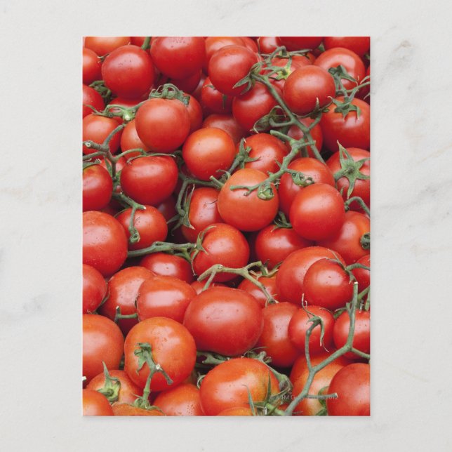 Carte Postale Une grande récolte de tomates sur un stand de marc (Devant)