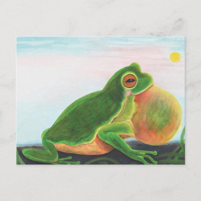 Carte Postale Une grenouille mâle chante une chanson pour attire (Devant)