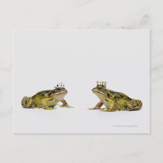 Carte Postale une grenouille royale et reine se regardant (Devant)