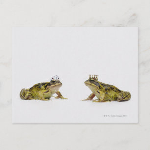 Carte Postale une grenouille royale et reine se regardant