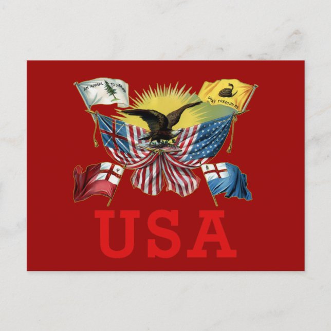 Carte Postale Une histoire des drapeaux américains sur un T-shir (Devant)