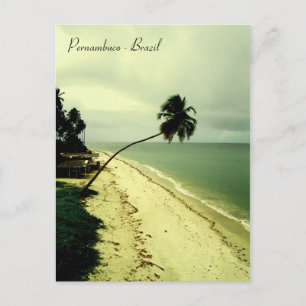 Carte Postale Une île. Pernambuco, Brésil
