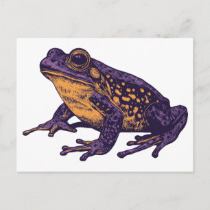 Carte Postale Une illustration de grenouille - l