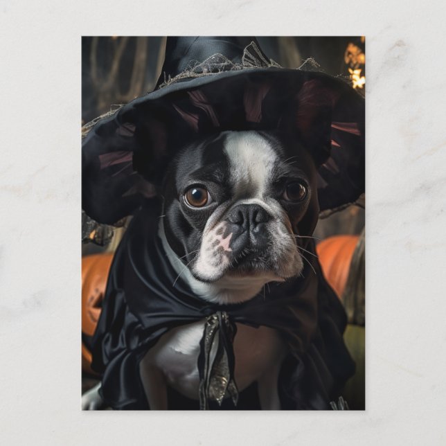 Carte Postale Une jolie sorcière d'Halloween Boston Terrier (Devant)