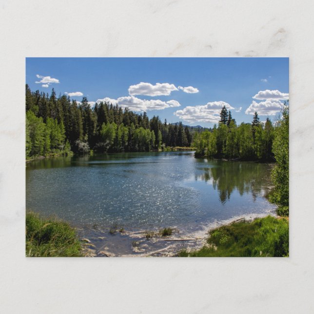 Carte Postale Une journée ensoleillée au lac McClellan (Devant)