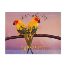 Une nouvelle journée au PARADIS