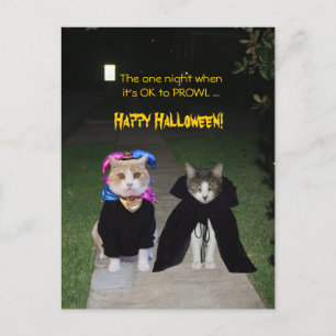 Carte Postale Une nuit C'est bon pour PROWL