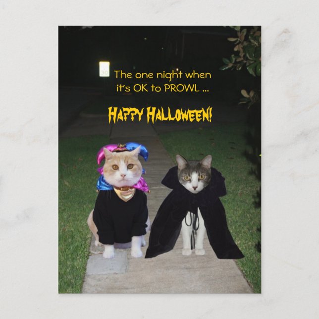 Carte Postale Une nuit C'est bon pour PROWL (Devant)