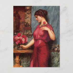 Carte Postale Une offre à la peinture à l'huile de Vénus