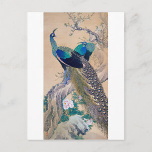 Carte Postale Une paire de paons au printemps, Imao Keinen