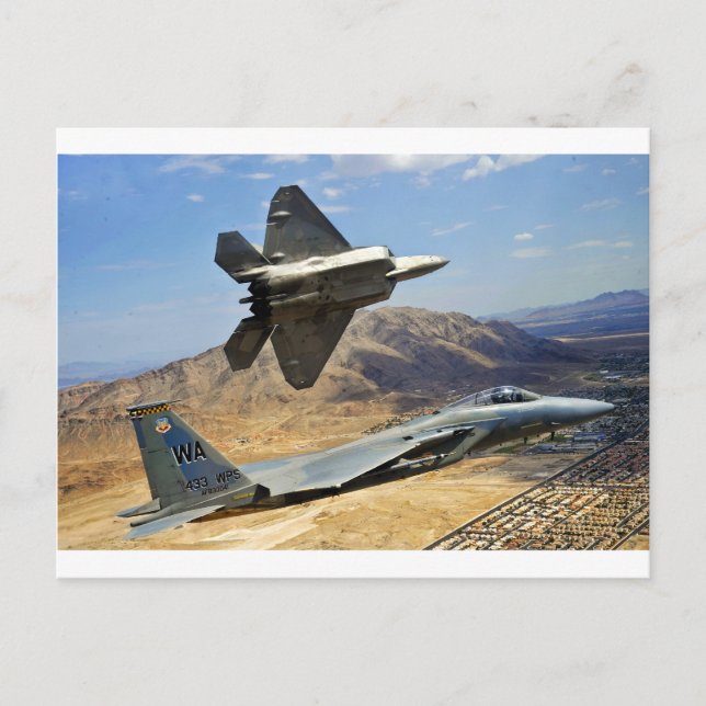 CARTE POSTALE UNE PAIRE DE RAPTOR (Devant)
