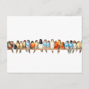 Carte Postale Une perche d'oiseaux - illustration vintage d'oise