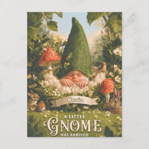 Carte Postale Une petite gnome est arrivée Annonce de naissance