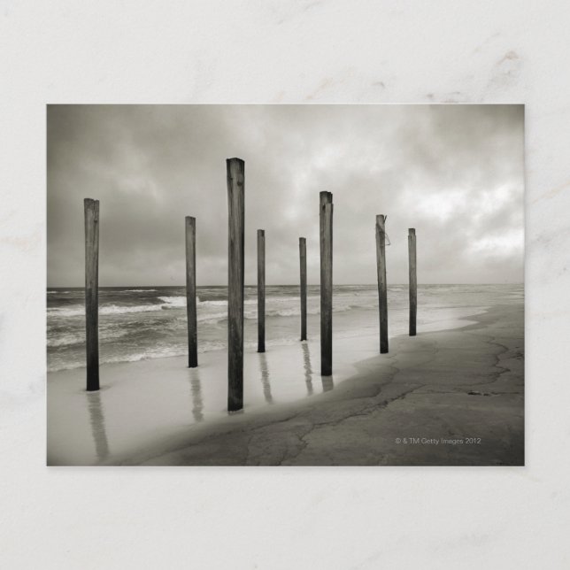 Carte Postale Une photo sépia de vieux postes de plage (Devant)