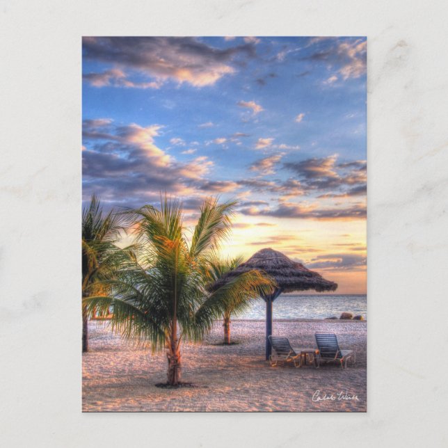 Carte Postale Une Plage Parfaite (Devant)