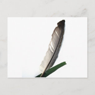 Carte Postale Une plume