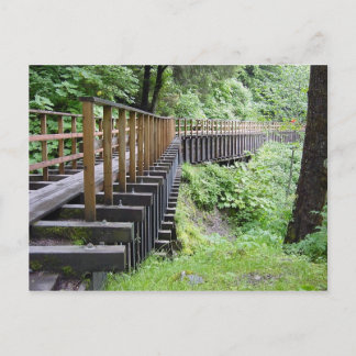 Carte Postale Une Promenade Calme