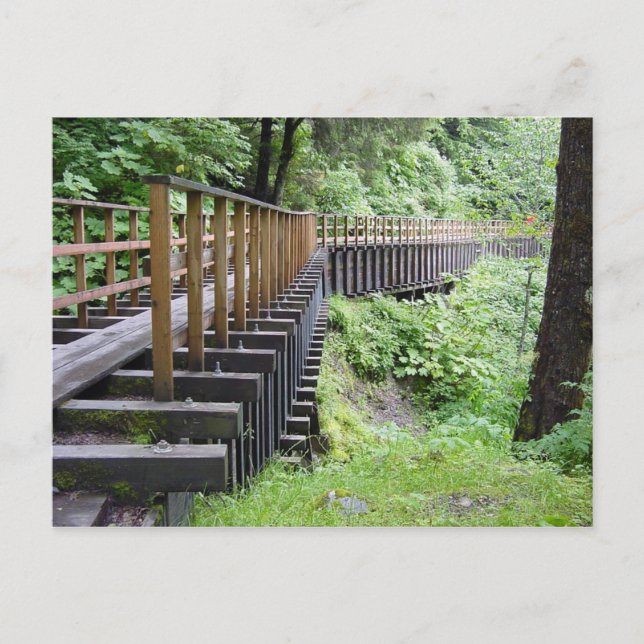 Carte Postale Une Promenade Calme (Devant)