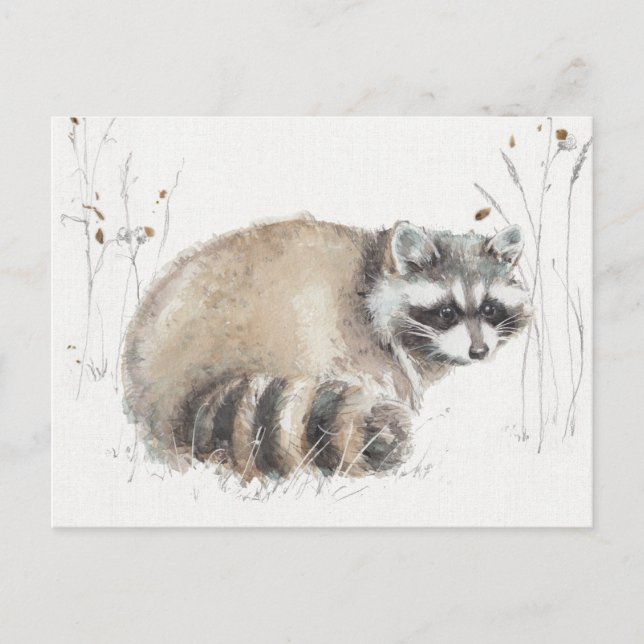 Carte Postale Une promenade X de région boisée (Devant)