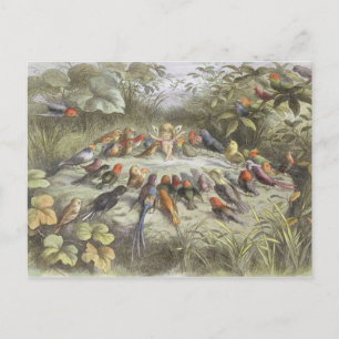 Carte Postale Une répétition en terre fée, illustration de "In F