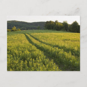 Carte Postale Une route agricole à Sabins Pasture à Montpelier,