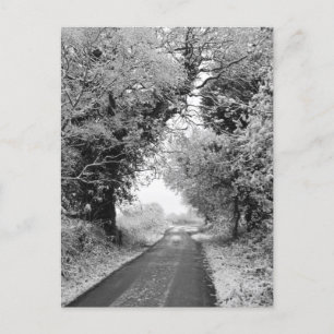 Carte Postale Une route champêtre en hiver