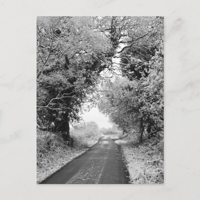 Carte Postale Une route champêtre en hiver (Devant)