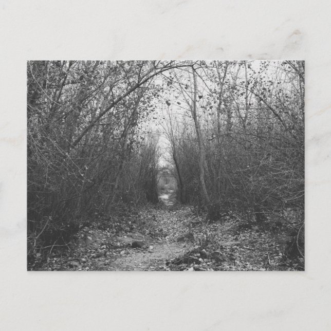 CARTE POSTALE "UNE ROUTE SOMBRE EN AVANT" (Devant)
