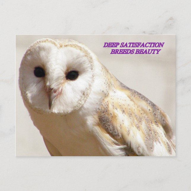 CARTE POSTALE UNE SATISFACTION PROFONDE PEINE BEAUTÉ (Devant)