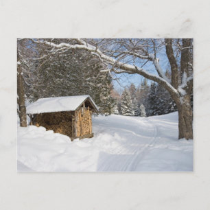 Carte Postale Une scène enneigée au Little Lyford Pond de l'AMC