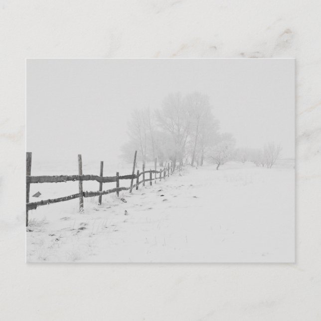 Carte Postale Une scène hivernale (Devant)